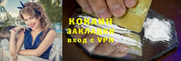 тгк Алексин
