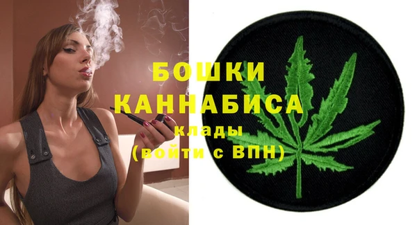 индика Новозыбков