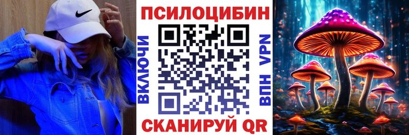 omg где найти Рошаль Псилоцибиновые грибы GOLDEN TEACHER