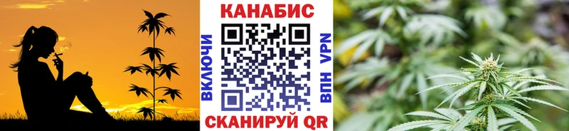 Конопля Amnesia  Рошаль 